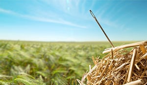 Needle in a Haystack