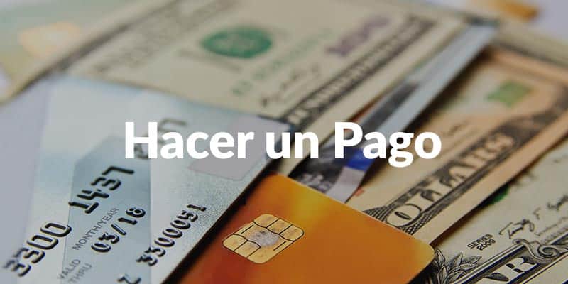 Hacer un Pago